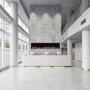 Flare - Large Front Facing *Premium gas fireplace $$$